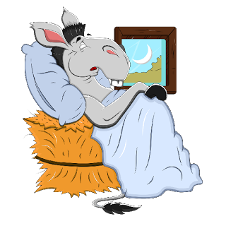 چاک و فروش الاغ