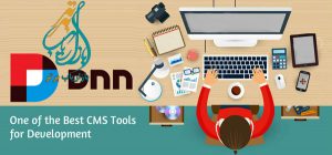 دات نت نیوک چیست