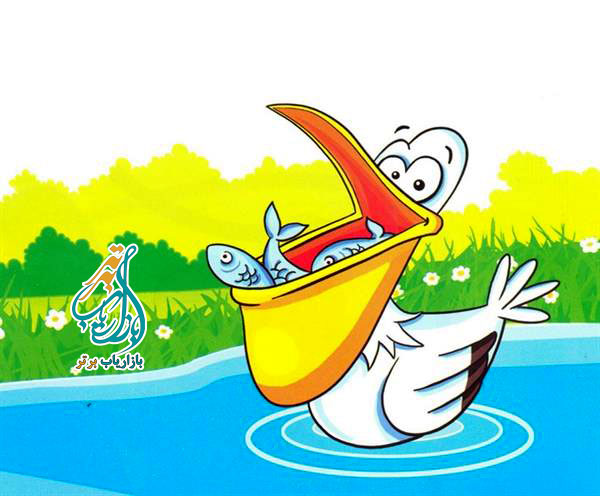 پلیکان نباشیم