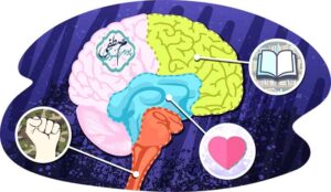 زبان احساسی بدن